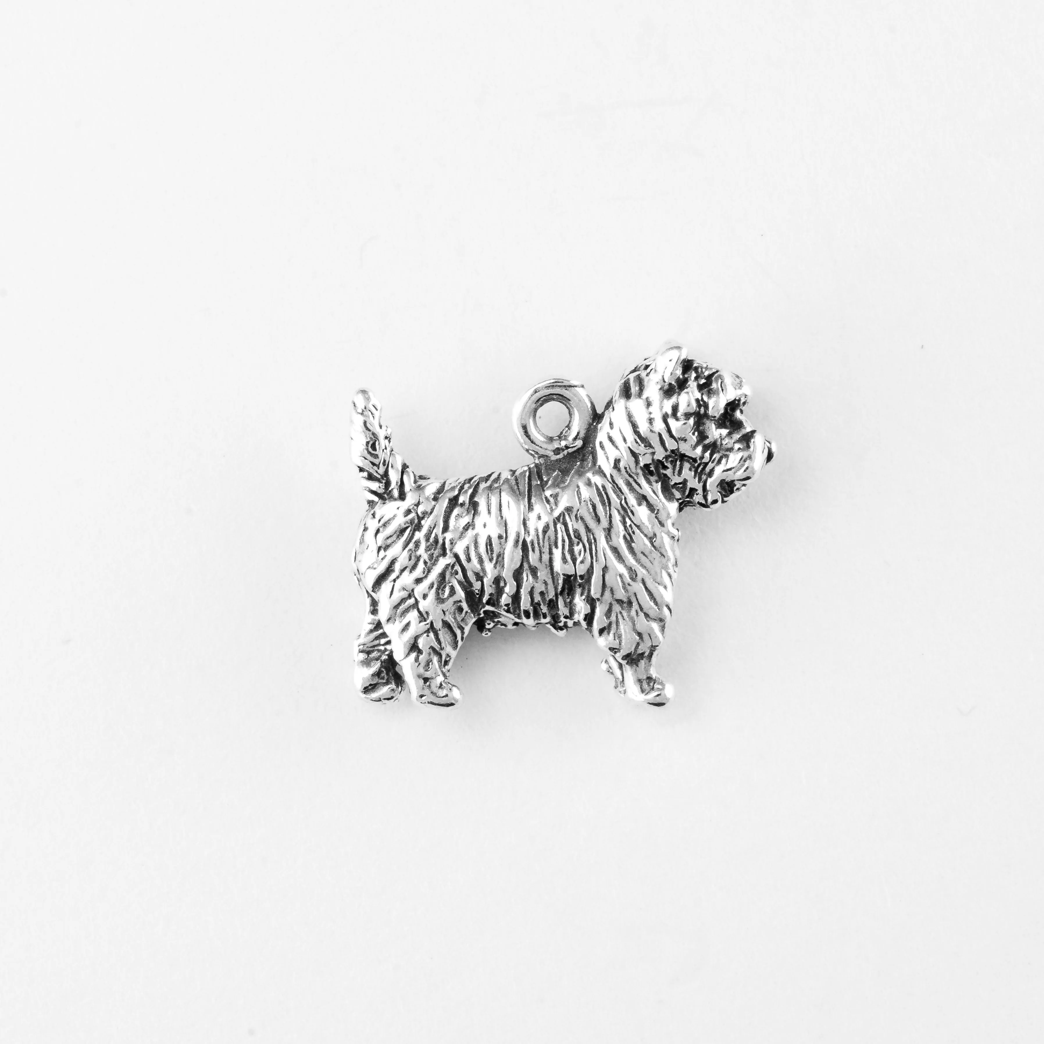 Cairn Terrier